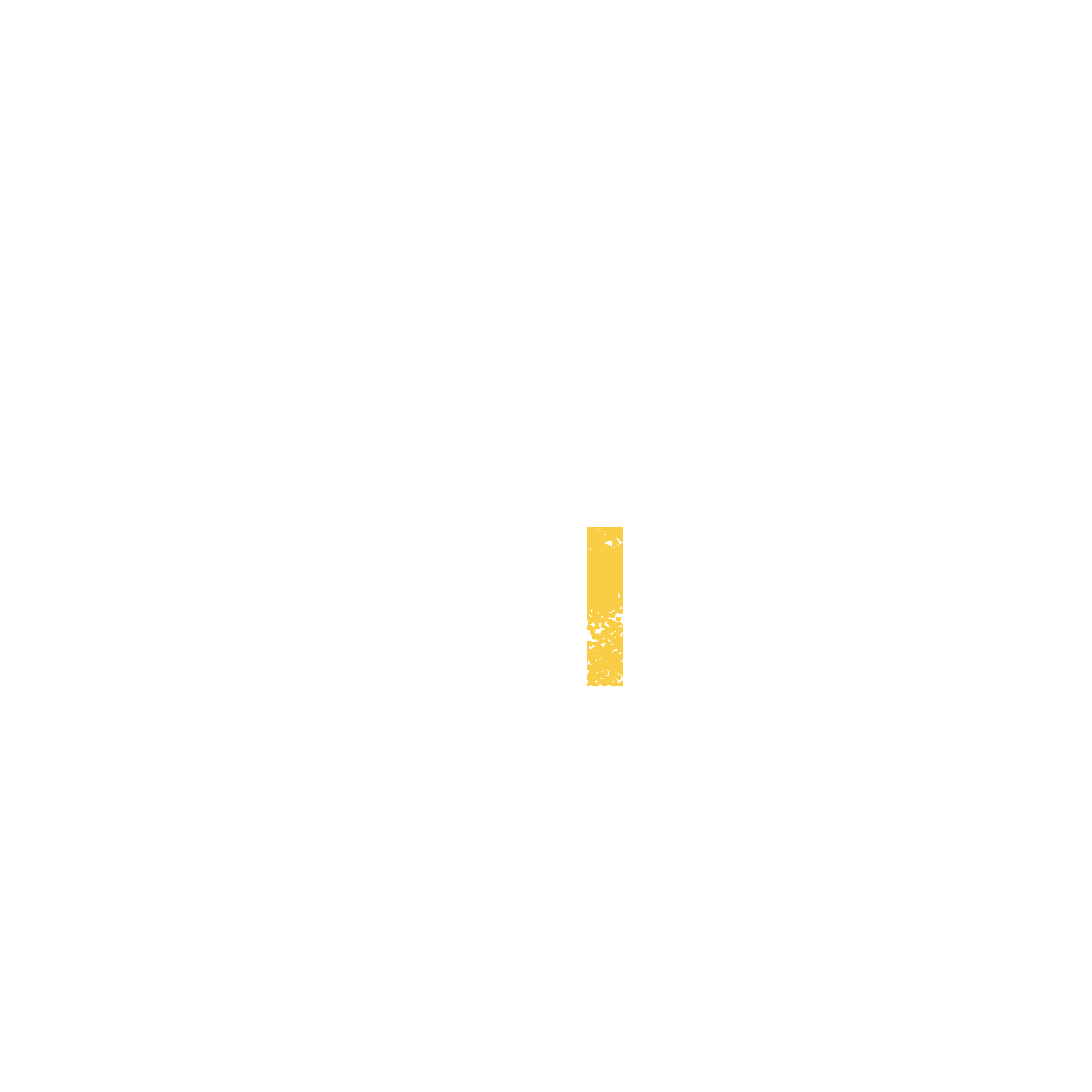 Straat Africa Logo